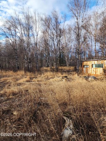 3100 E Pamela Drive, Wasilla, AK 99654