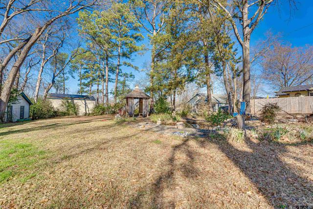 123 N Line, Mineola, TX 75773