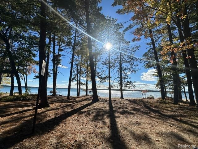 217 Newman Street, Roscommon, MI 48653