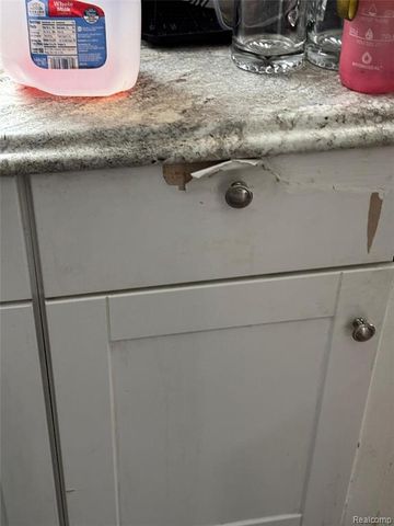 11845 Laing Street, Detroit, MI 48224