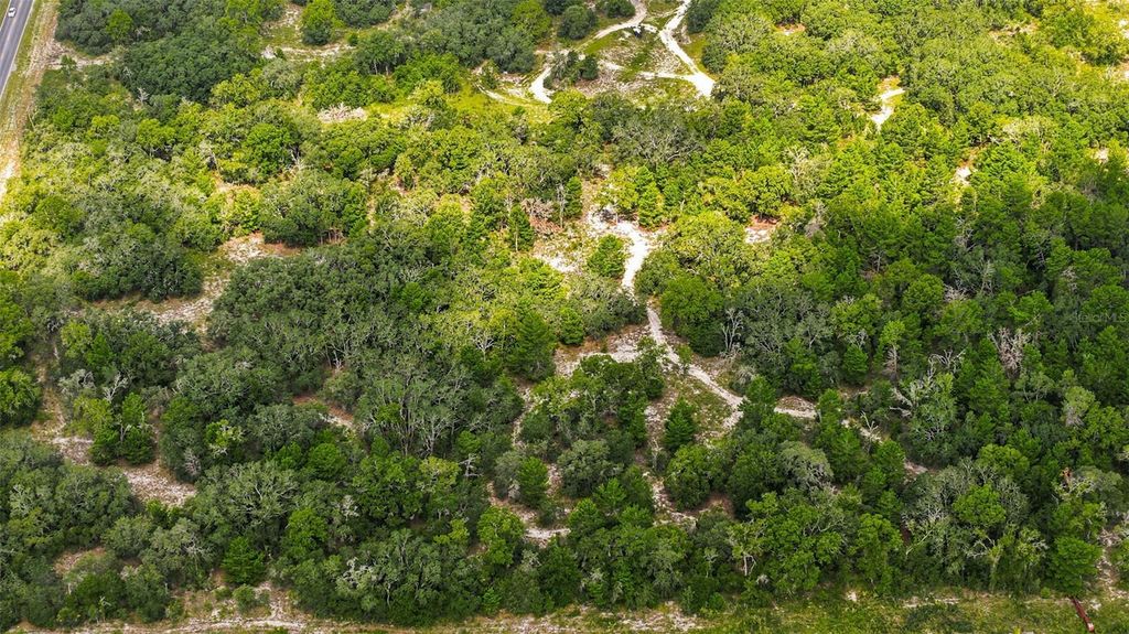 8439 COUNTY LINE ROAD, Spring Hill, FL 34608
