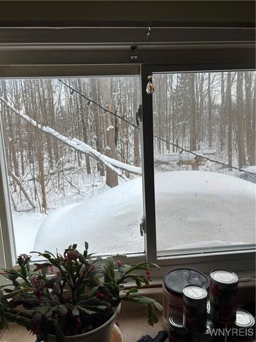 481 Poplar Avenue, Evans, NY 14006