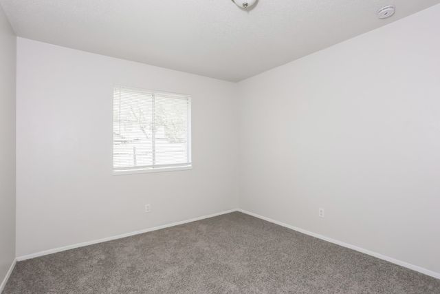 5037 Collingwood Drive, Garland, TX 75043