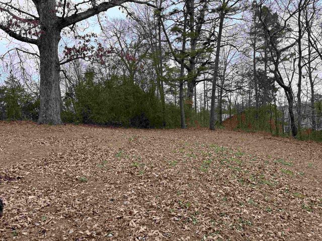 37 Park Circle, Evening Shade, AR 72532