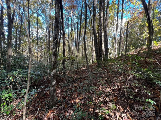 0 Wild Magnolia Way 46, Zirconia, NC 28790