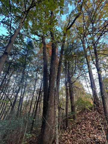 0 Wild Magnolia Way 46, Zirconia, NC 28790