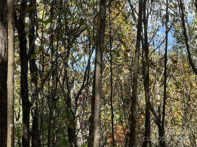 0 Wild Magnolia Way 46, Zirconia, NC 28790