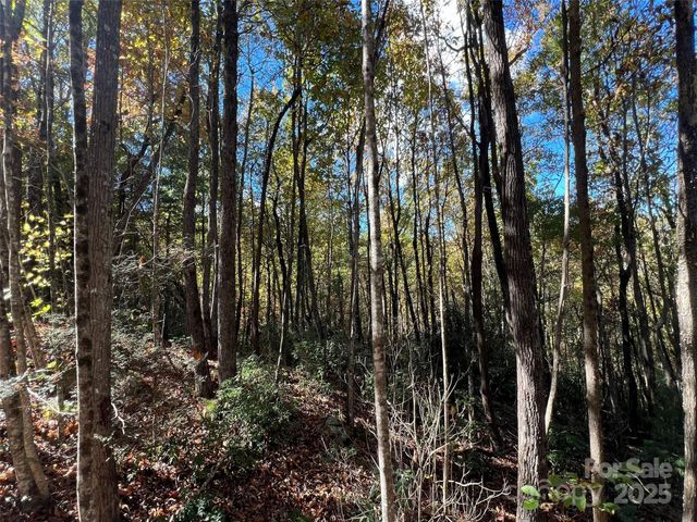 0 Wild Magnolia Way 46, Zirconia, NC 28790