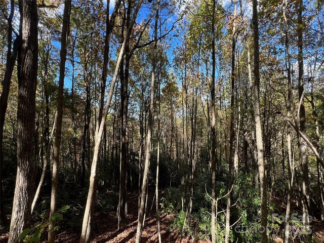 0 Wild Magnolia Way 46, Zirconia, NC 28790