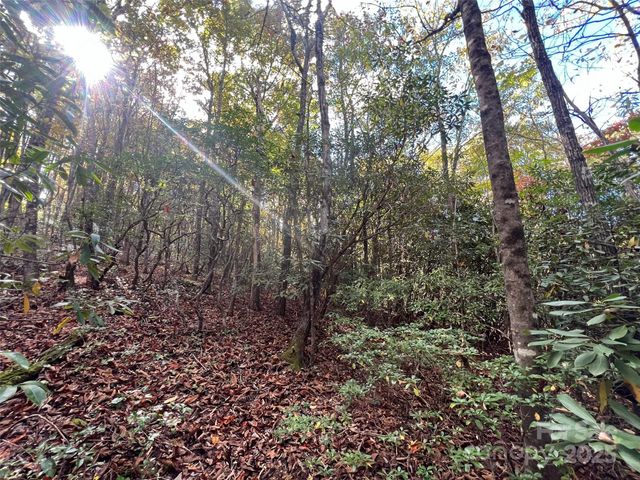 0 Wild Magnolia Way 46, Zirconia, NC 28790