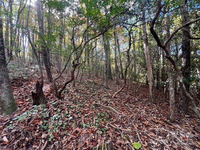 0 Wild Magnolia Way 46, Zirconia, NC 28790