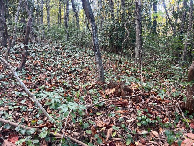 0 Wild Magnolia Way 46, Zirconia, NC 28790