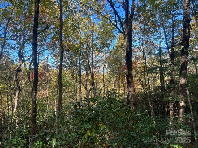 0 Wild Magnolia Way 46, Zirconia, NC 28790