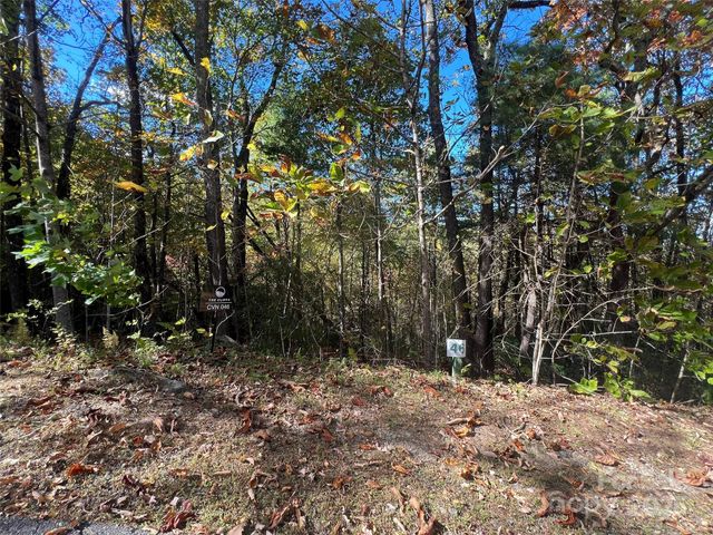 0 Wild Magnolia Way 46, Zirconia, NC 28790