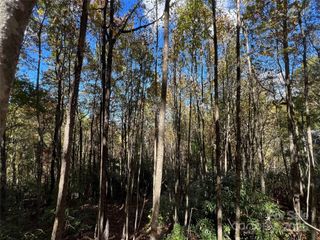 0 Wild Magnolia Way 46, Zirconia, NC 28790