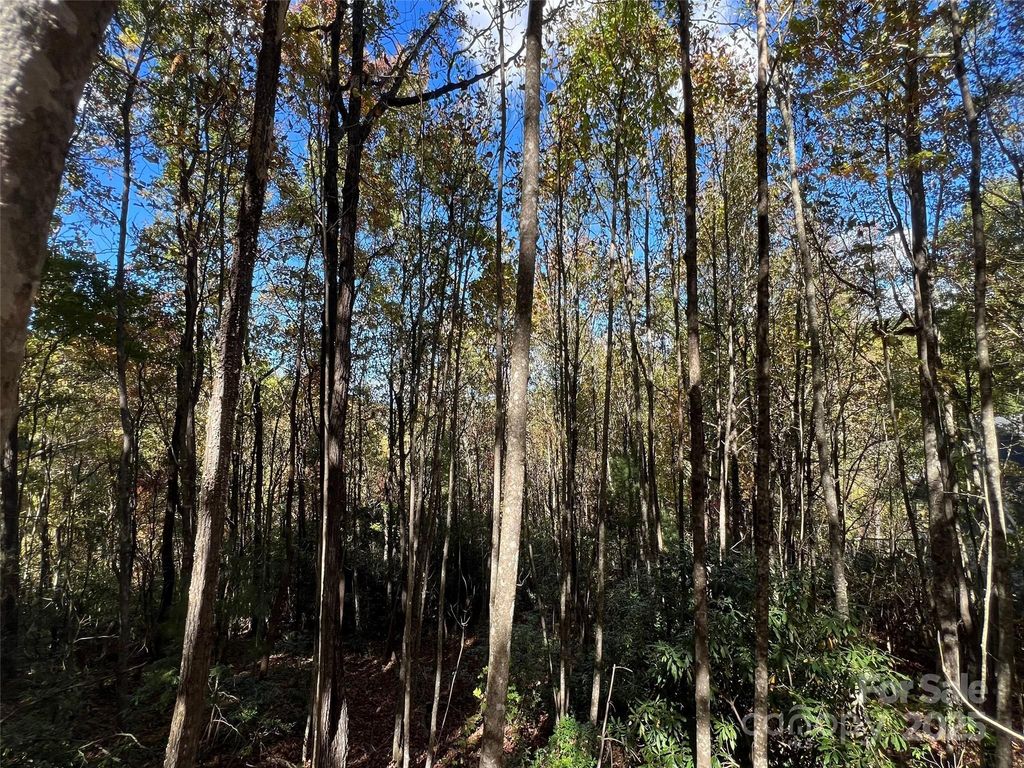 0 Wild Magnolia Way 46, Zirconia, NC 28790