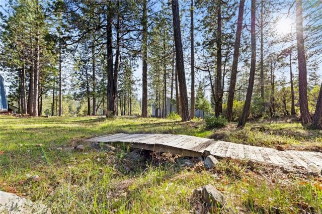 17091 Bryan Allen Way, Brownsville, CA 95919