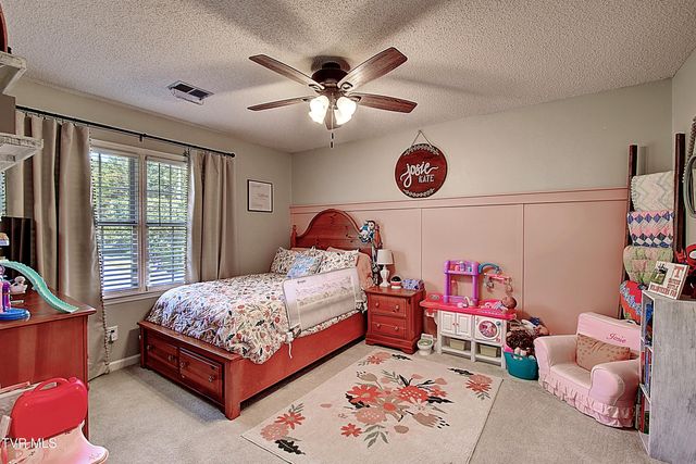 213 Grandview Street, Mount Carmel, TN 37645