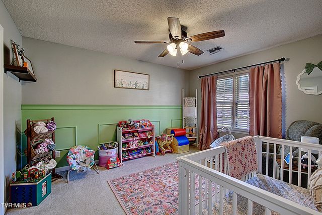 213 Grandview Street, Mount Carmel, TN 37645