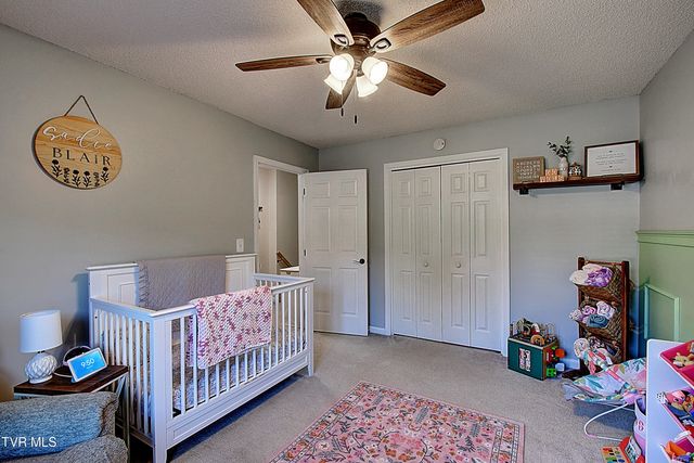 213 Grandview Street, Mount Carmel, TN 37645