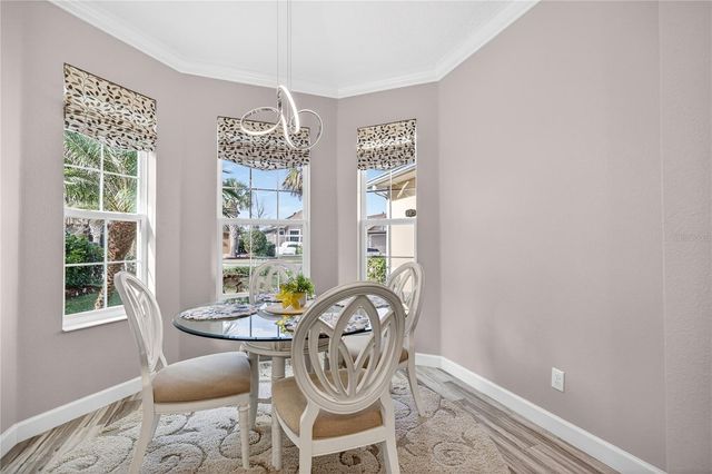 8876 BRIDGEPORT BAY CIRCLE, Mount Dora, FL 32757