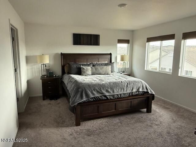 1353 Stock Horse Road, Sparks, NV 89436