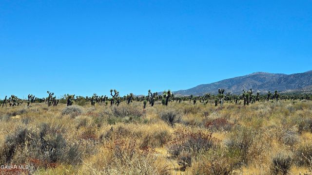 Vicinity Avenue X4 & 231st St E, Llano, CA 93544