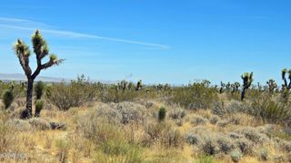 Vicinity Avenue X4 & 231st St E, Llano, CA 93544