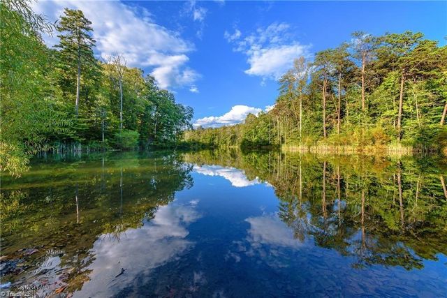 9664 Lissara Camp Court, Lewisville, NC 27023