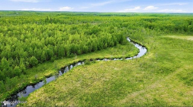 1584 S Birch Lake Drive, Big Lake, AK 99652