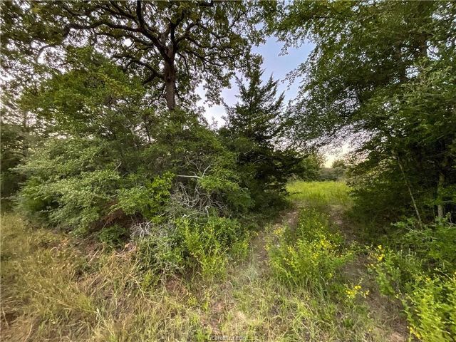 TBD Hwy 7 And Lcr 706 - 229 Acres, Kosse, TX 76653