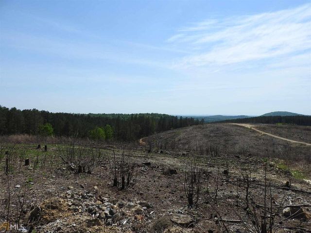 0 Griffin Road 5007-PARCEL 3, Cartersville, GA 30120