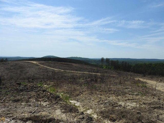 0 Griffin Road 5007-PARCEL 3, Cartersville, GA 30120
