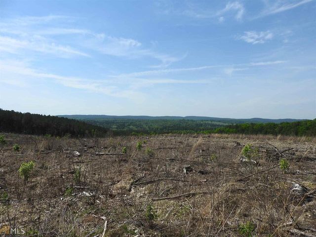 0 Griffin Road 5007-PARCEL 3, Cartersville, GA 30120