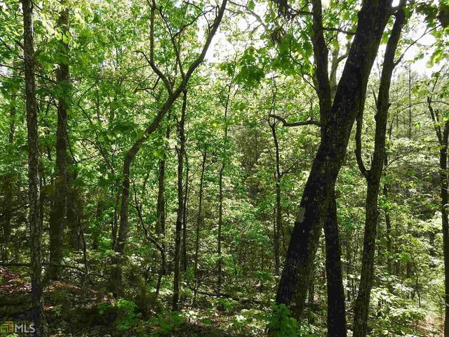 0 Griffin Road 5007-PARCEL 3, Cartersville, GA 30120