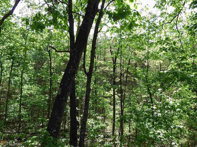 0 Griffin Road 5007-PARCEL 3, Cartersville, GA 30120