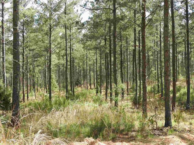 0 Griffin Road 5007-PARCEL 3, Cartersville, GA 30120