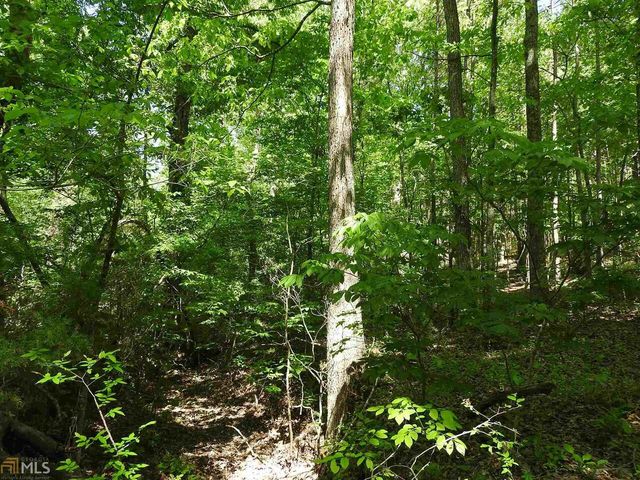 0 Griffin Road 5007-PARCEL 3, Cartersville, GA 30120