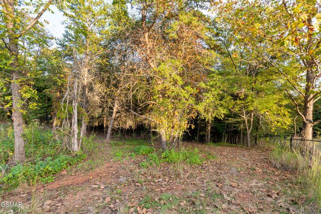 836 River Cliff Drive, Kodak, TN 37764