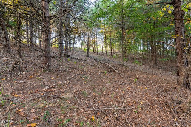 836 River Cliff Drive, Kodak, TN 37764