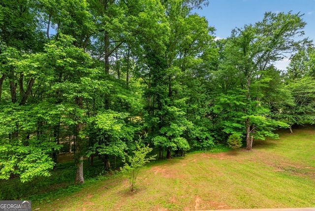 665 Shady Lane, Mineral Bluff, GA 30559