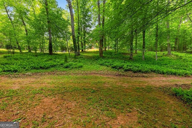 665 Shady Lane, Mineral Bluff, GA 30559