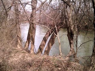 0 Tibbs Bridge Road, Dalton, GA 30721