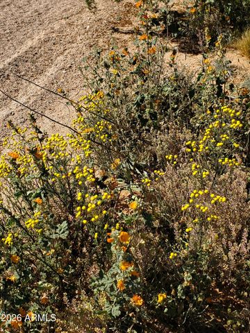 0 W Bowlin Road -, Maricopa, AZ 85139