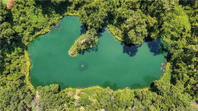 2651 E Maidstone Court, Hernando, FL 34442