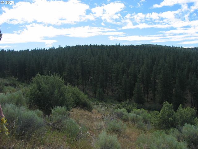 3355 Kircher Rd, Chiloquin, OR 97624