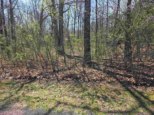 L-22 B-10 Nameoki Drive, Cherokee Village, AR 72529