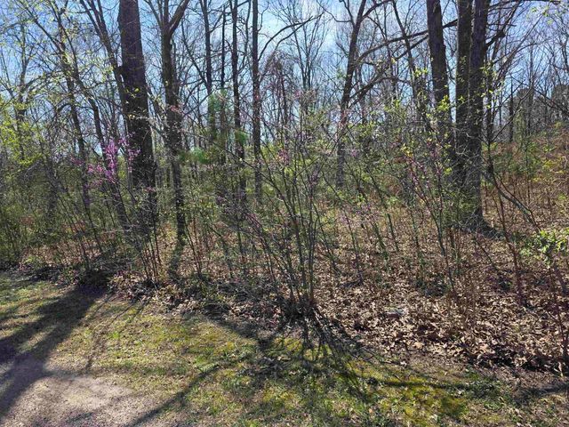 L-22 B-10 Nameoki Drive, Cherokee Village, AR 72529