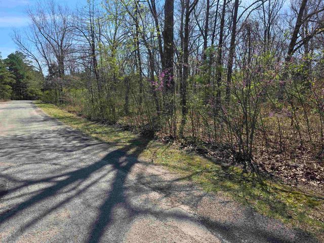 L-22 B-10 Nameoki Drive, Cherokee Village, AR 72529