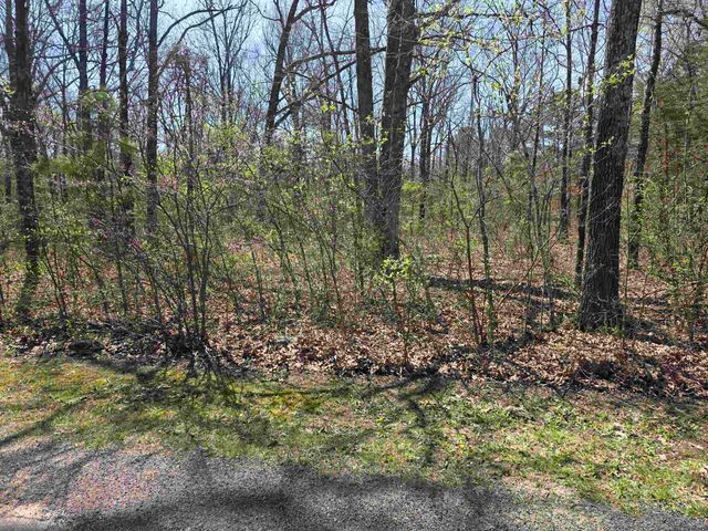 L-22 B-10 Nameoki Drive, Cherokee Village, AR 72529